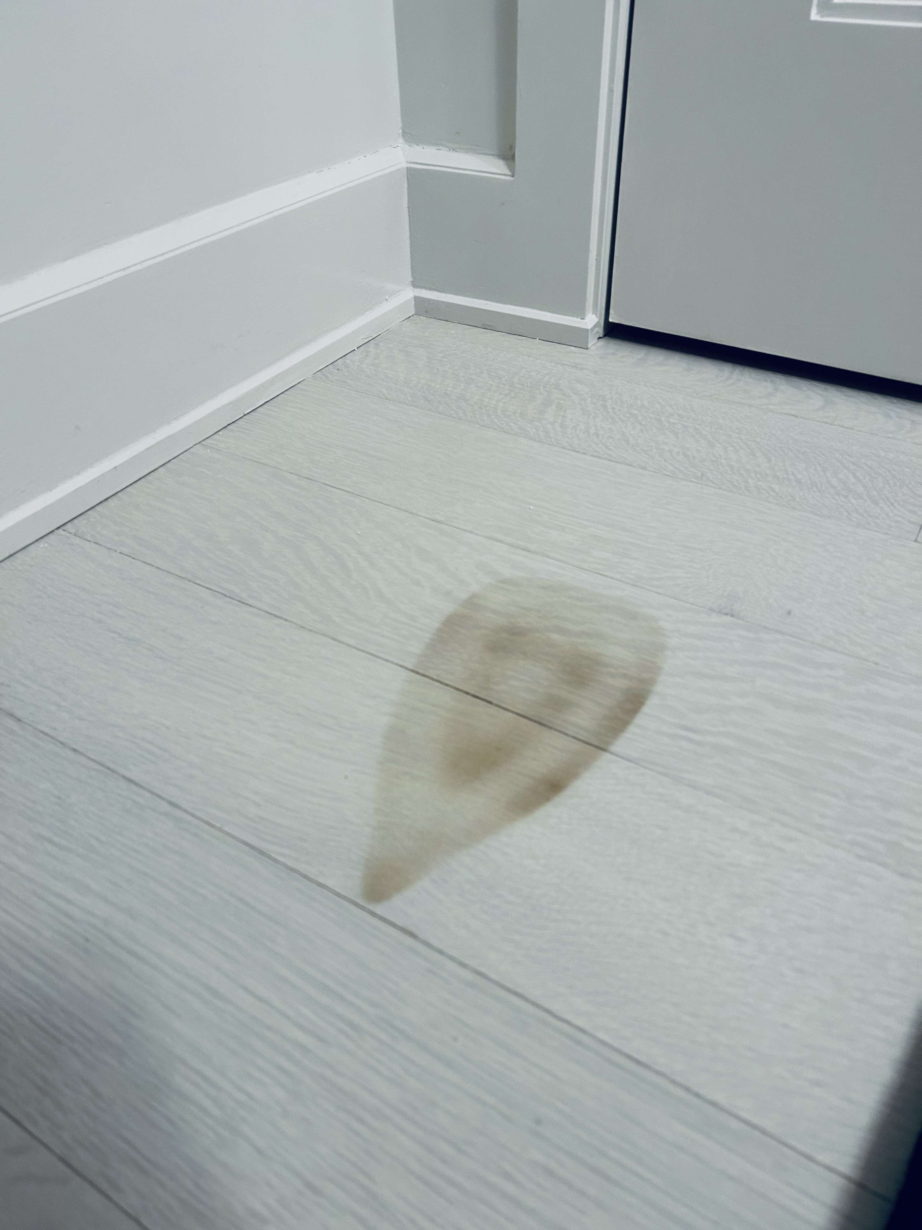 Floor before restoration
